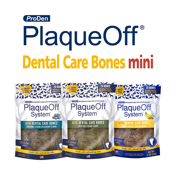 Dental Care Bones, mini